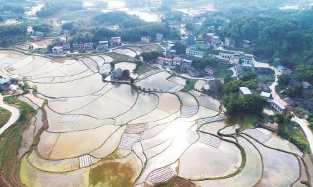 重庆梁平区　高标准农田建设提升粮食生产能力